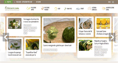 Desktop Screenshot of essiccare.com